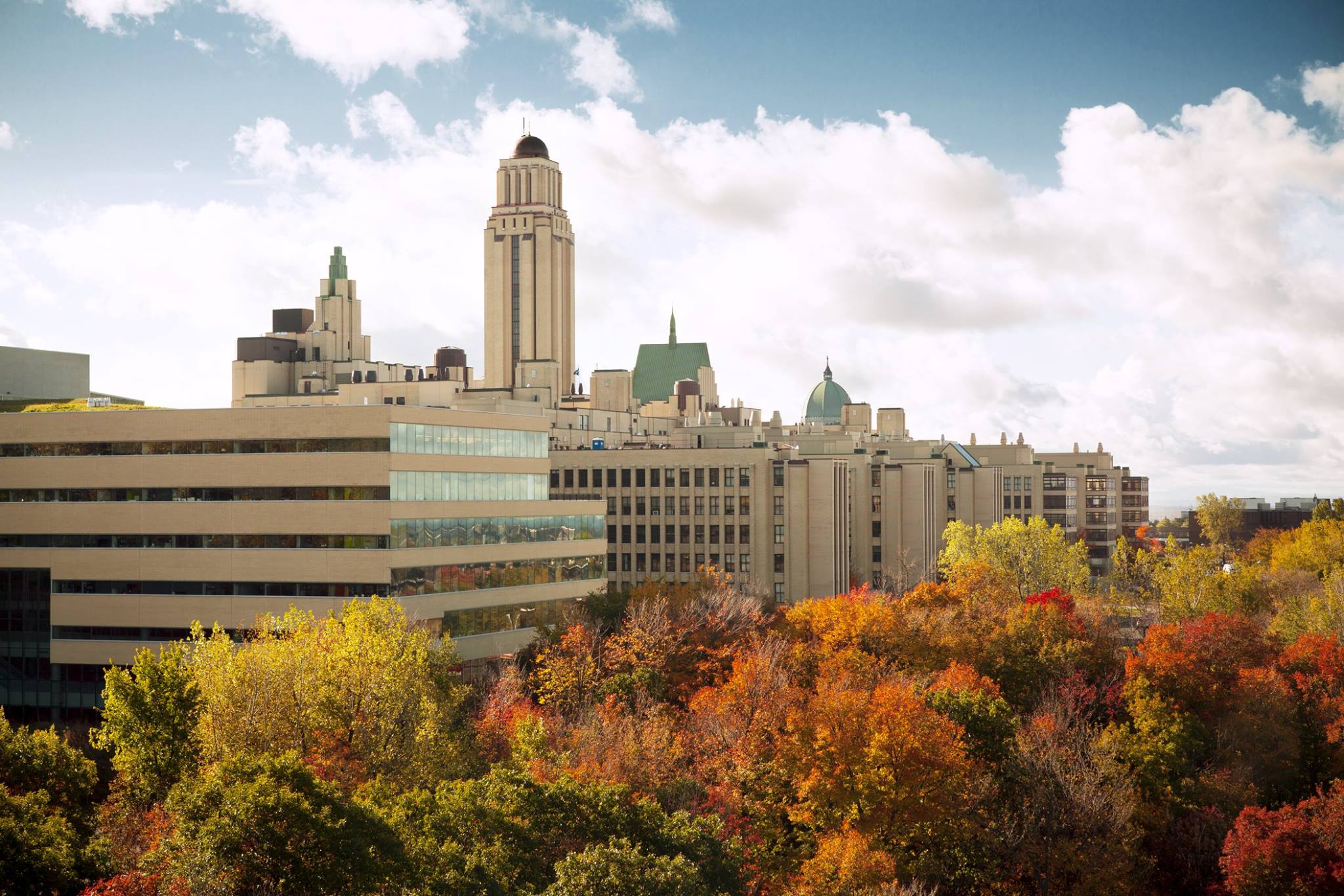 Université de Montréal 